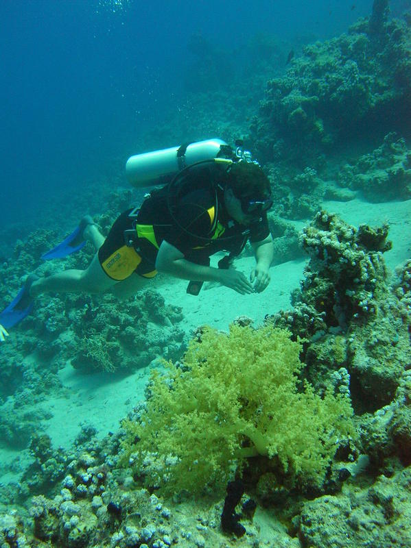 red sea_037.jpg